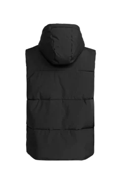 Bright Sidejckt Kvj0