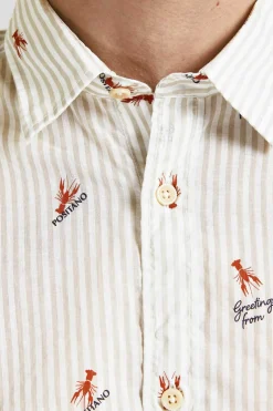 Camisa Estampada Algodao