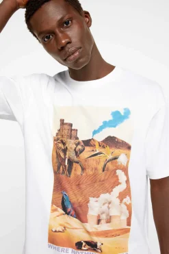 Camisola Fotografica