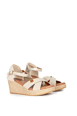 Capurata Boreal Arena