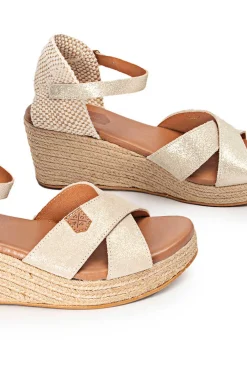 Capurata Boreal Arena