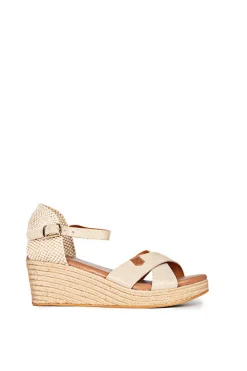 Capurata Boreal Arena