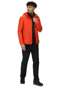 Casaco Com Capuz Hillpack