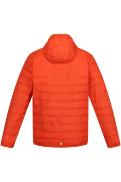 Casaco Com Capuz Hillpack