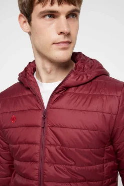 Casaco Com Enchimento Mount-Loft