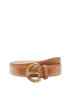 Cinto Gravacao Animal