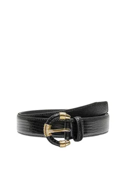 Cinto Gravacao Animal