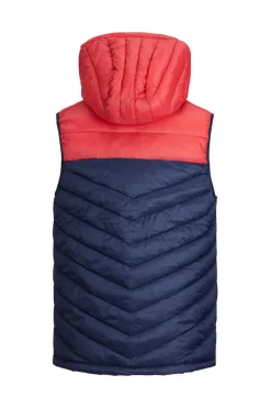 Colete Acolchoado Com Capuz