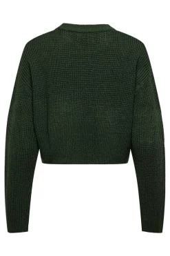 Colete Acolchoado Com Capuz