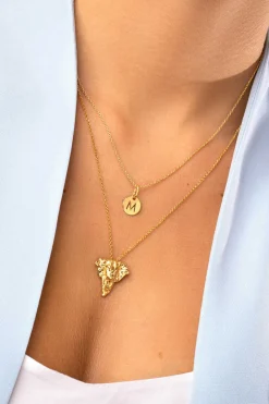 Collar Everything Plata Bano Oro