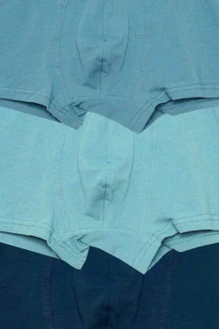 Cueca Boxer Liso Pack 3