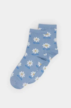 Meia Margaridas Texto