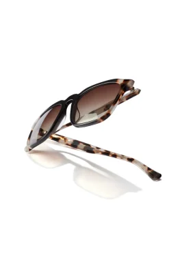 Oculos De Sol Leo Black Eternity