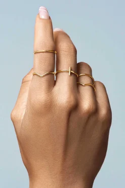 Pack 5 Aneis Nefertiti Ouro