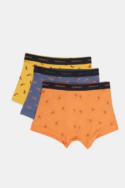 Pack 3 Boxers Motivos Animais