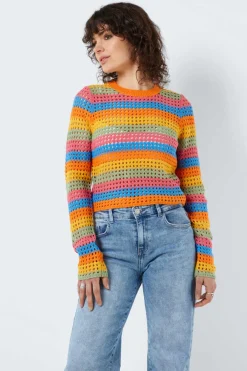 Pullover Bunt Crochet
