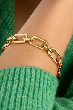 Pulsera Zambia Link Bano Oro