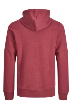 Sweatshirt Com Capuz