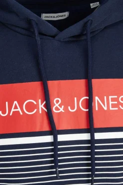 Sweatshirt Com Capuz