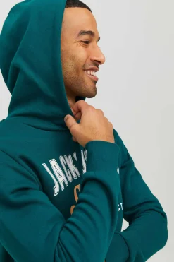 Sweatshirt Com Capuz