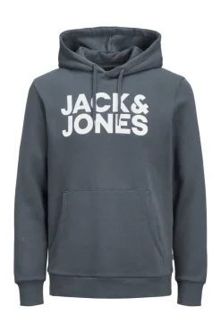 Sweatshirt Com Capuz Logo