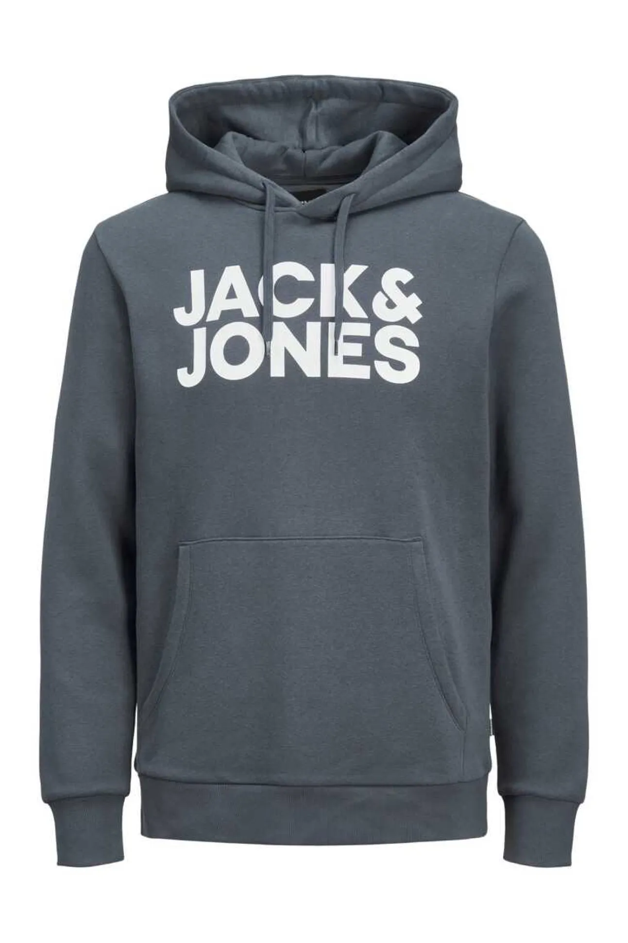 Sweatshirt Com Capuz Logo