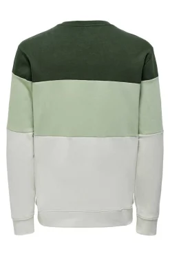 Sweatshirt Cor Block