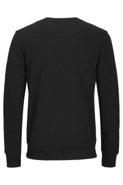 Sweatshirt Logo