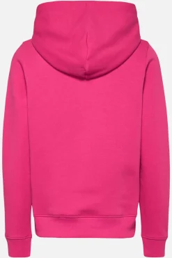 Sweatshirt Tommy Jeans Com Logo Linear