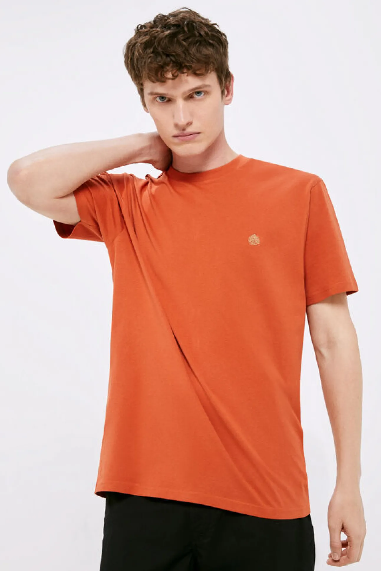 T-Shirt Basica Arvore