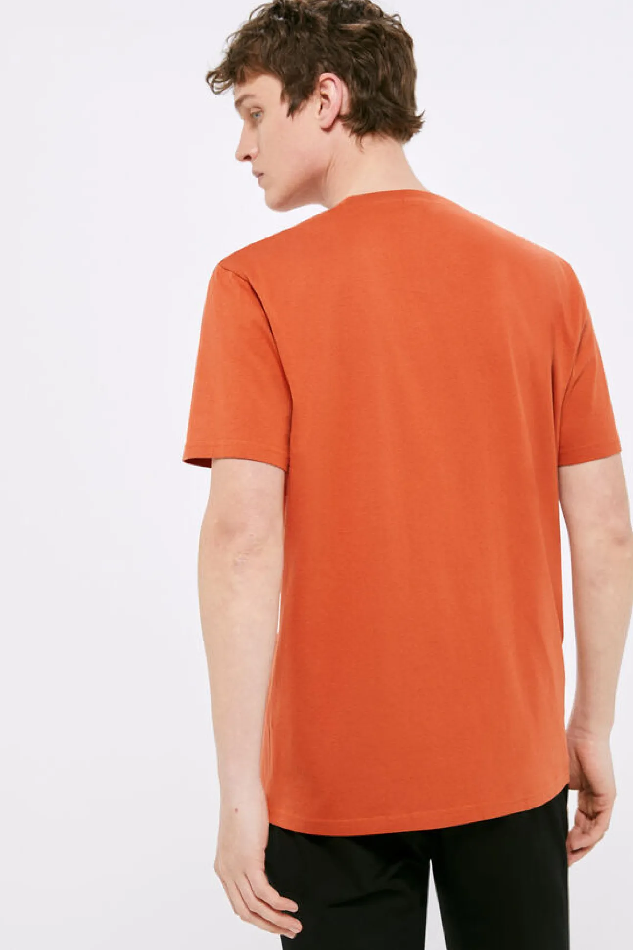 T-Shirt Basica Arvore