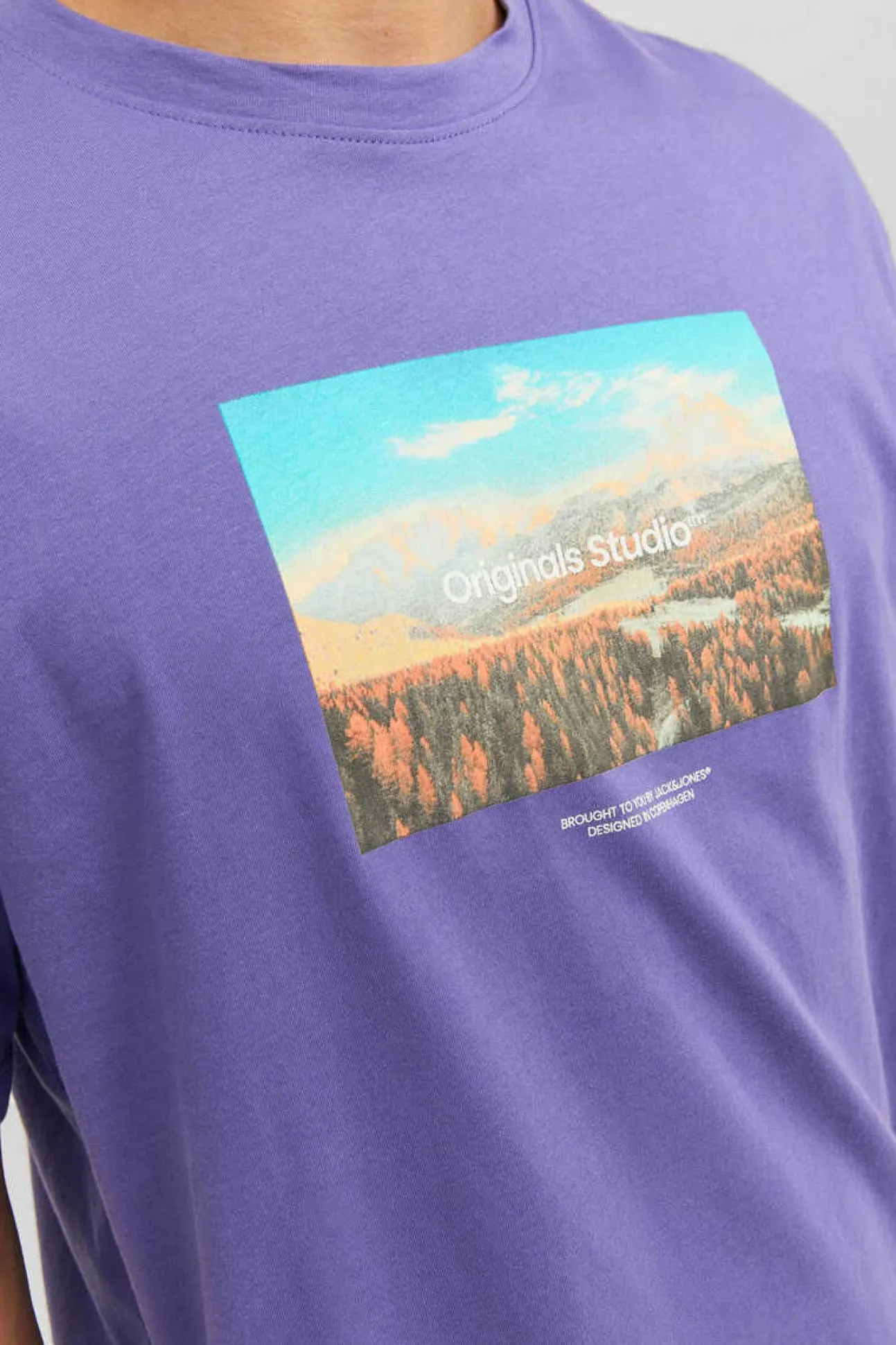 T-Shirt De Manga Curta Print Foto