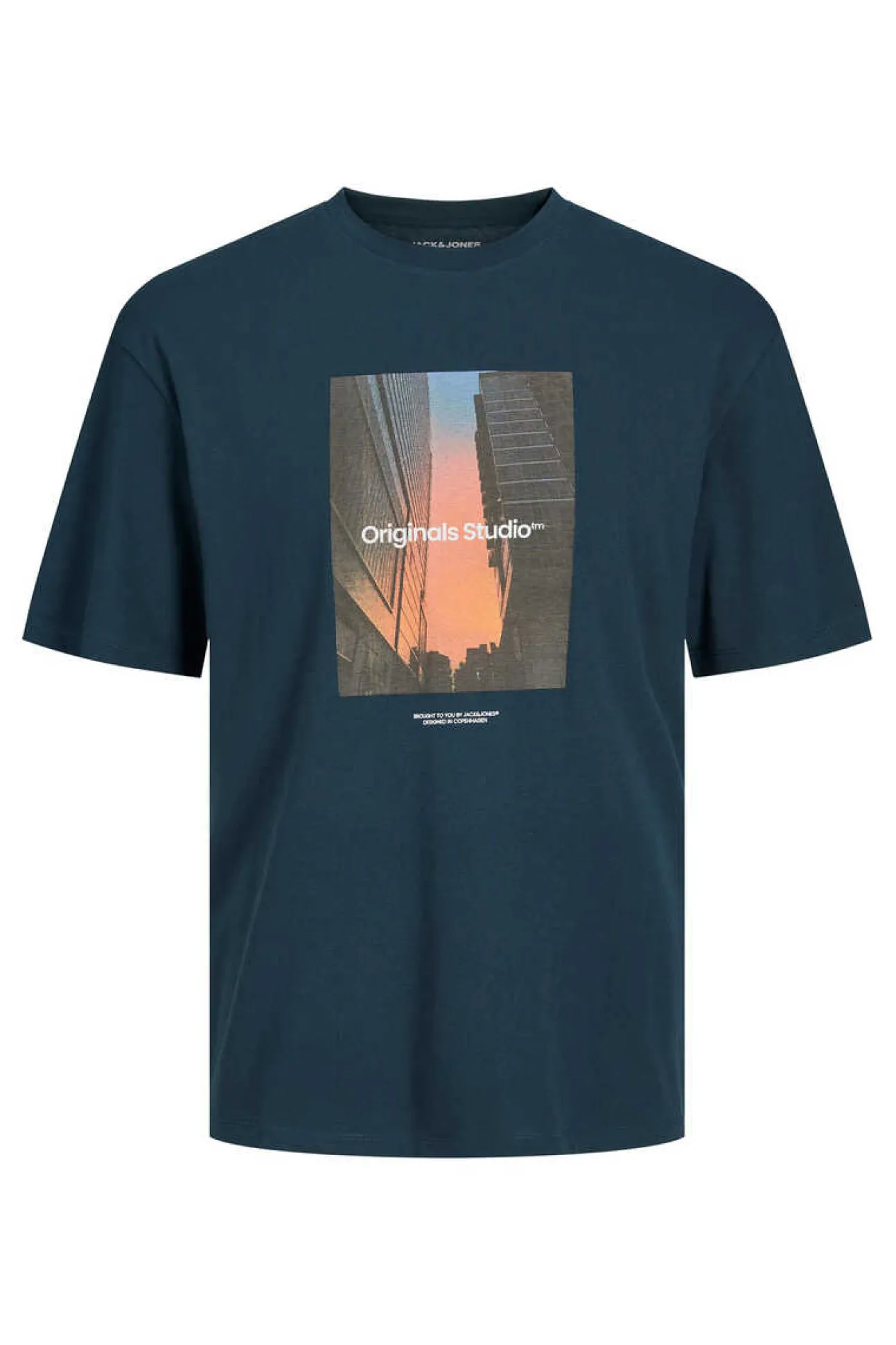 T-Shirt De Manga Curta Print Foto