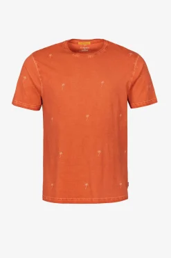 T-Shirt Estampado Palmeiras