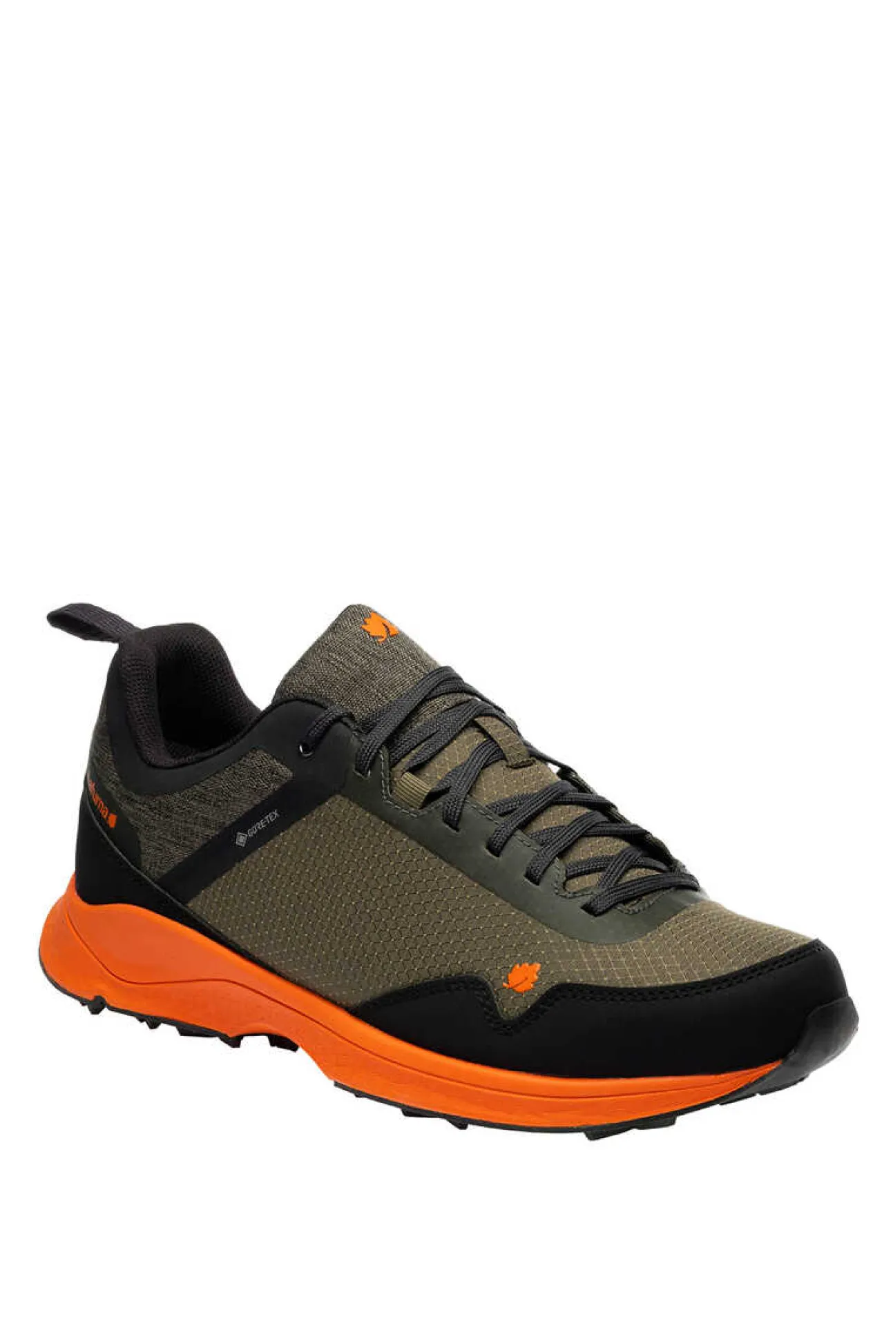Zapatillas Shift Gtx